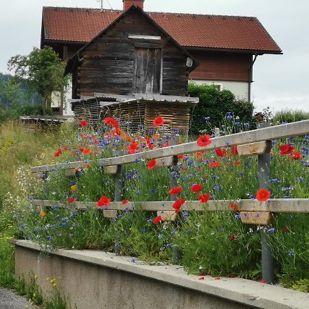 Ferienhaus Raumberg ภายนอก รูปภาพ